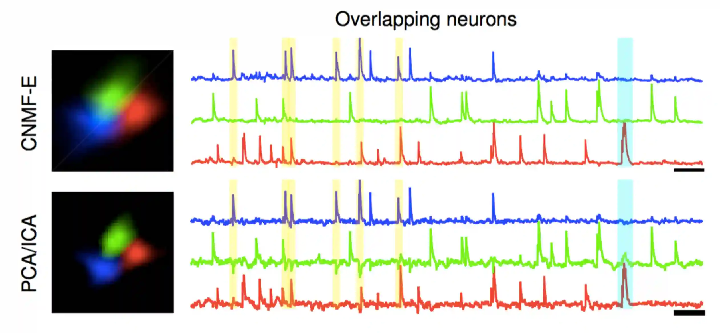 Neural Imaging-20250805220954036
